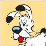 Comment s'appelle ce petit chien ?