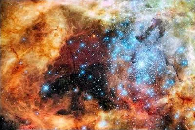 La matière contenue dans ces nuages se condense de plus en plus sous l'effet de ... . La température augmente et à partir de 10 millions de degrés les réactions nucléaires commencent. Ce sont des étoiles en train de naître.