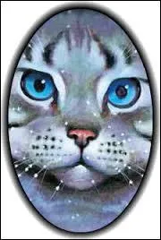 Qui est le mentor de Nuage de Plume ?