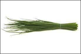 Quelle plante aromatique est représentée sur la photo ?