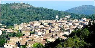 La Garde-Freinet est une ville Varoise située en région ...