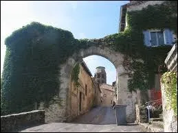 Nous partons visiter la commune Altiligérienne de Lavaudieu. Classée parmi les Plus Beau Villages de France, elle se situe en région ...