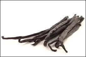 Quelle épice est représentée sur la photo ?