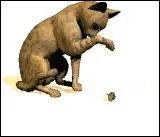 Quel était son nom d'apprenti ?