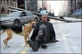 L'acteur principal est Will Smith, ce film est américain et sorti en 2007. Il roule dans New York avec sa Ford Mustang.