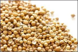 Quelle épice est représentée sur la photo ?