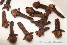 Quelle épice est représentée sur la photo ?