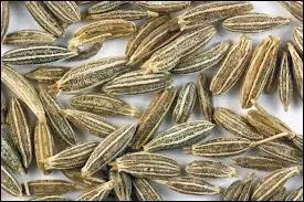 Quelle épice est représentée sur la photo ?