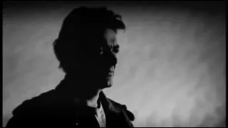 Dans quelle comédie musicale (autre que "Notre Dame de Paris") Daniel Lavoie a-t-il joué ?