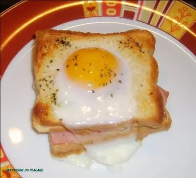 Que voyez-vous sur cette image ?