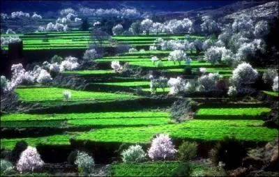 Quelle est cette vallée, et où se trouve-t-elle ?