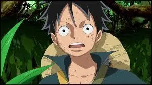 Quel est son fruit du démon en japonais ?