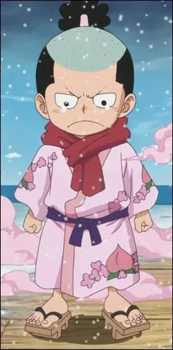 Quel est le fruit du démon de Momonosuke et de quel type est-il ?