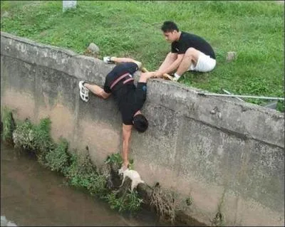 Le chevalier Bayard avait la réputation de l'être !