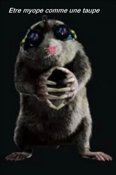 Quelle expression correspond la mieux à l'image ?