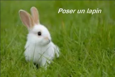 Quelle expression correspond la mieux à l'image ?