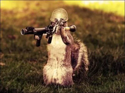 Mais, une question se pose : est-ce parce que vous étiez bien préparés ?