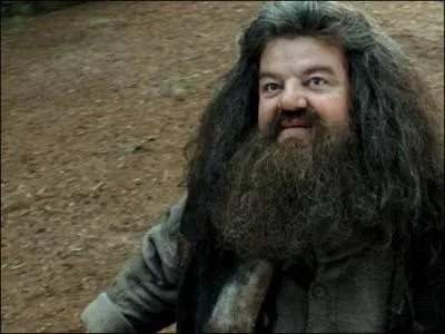 En quelle année est Harry quand Hagrid devient professeur de soins au créatures magiques ?