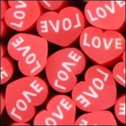 Qui a été son dernier amoureux (juin 2014) ?