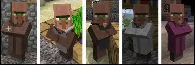 Quels sont les différents types de villageois existant dans Minecraft ?