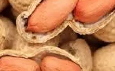 Quiz Fruits