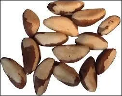 Quels fruits secs sont représentés sur la photo ?