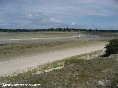 Comment appelle-t-on les petites marées ?