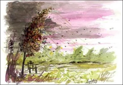 Qu'est-ce qui permet aux marins de connaître la force du vent ?