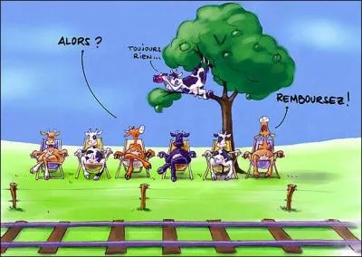 A quel sketch des Nuls vous fait penser la photo ?