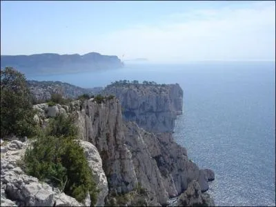 Que représente cette photo ?