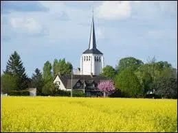 Derrière ce champ, vous avez l'église du village Loirétain de Darvoy. Il se trouve en région ...