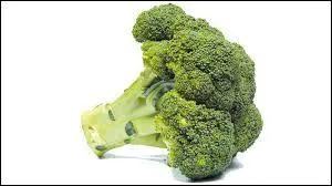 Lequel de ces légumes n'est pas un "légume vert" ?