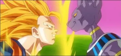 Pour quelle raison le Seigneur Bills cherche-t-il à affronter Sangoku ?