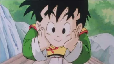 Qui s'est occupé de Sangohan après la mort de Sangoku ?