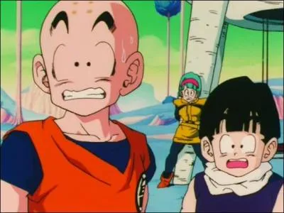 Pour quelle raison Krilin, Sangohan et Bulma sont-ils partis sur Namek ?