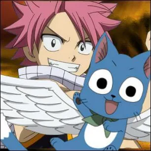 Comment s'appelle le chat de Natsu ?