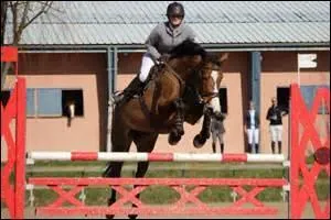 Quel nom donne-t-on à cette discipline ?