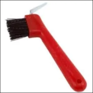 Comment cette "brosse" s'appelle-t-elle ?