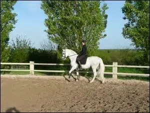 A quelle main cette cavalière marche-t-elle ?