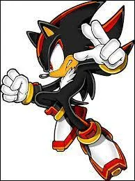 Dans quel jeu est apparu pour la première fois Shadow ?