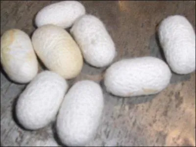 Car je retiens les remarques, -----------.