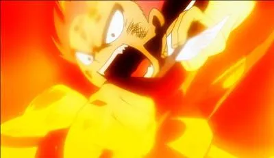 Erza a retrouvé le Maître et Jet. Avec l'aide de qui Erza parvient-elle à tuer le Phoenix ?