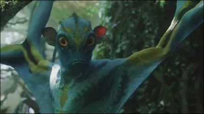 Comment se nomme cette créature ?