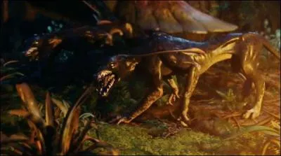 Comment se nomme cette créature ?