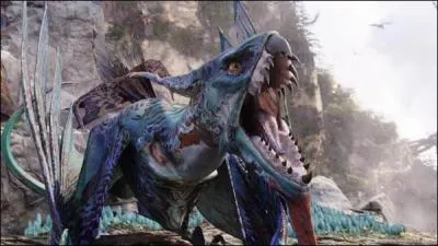 Comment se nomme cette créature ?