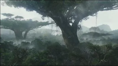 Quel est cet Arbre ?