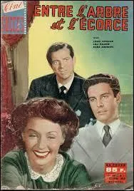 Si je vous dis : "Entre l'arbre et l'écorce, il ne faut pas mettre le doigt", à votre avis que ne faut-il pas faire ?