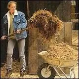 A quoi sert la litière ?