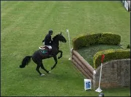 Quel est le nom de cet obstacle ?