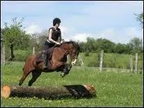 Combien de phases comporte le saut ?